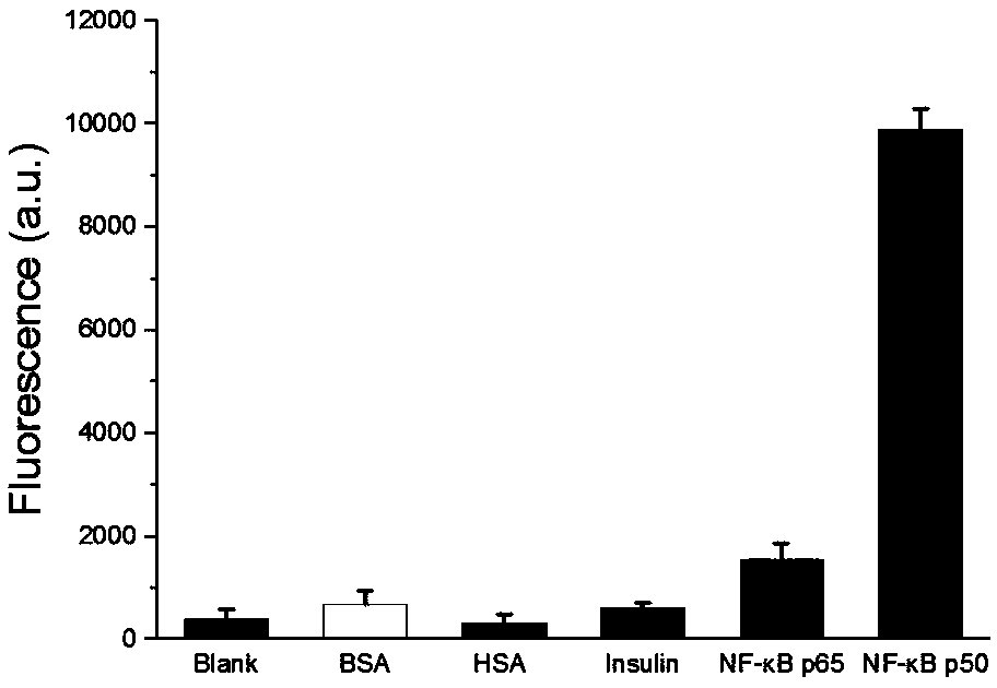 A Transcription Factor Detection Method Based on DNA-Silver Nanocluster Molecular Beacons and Exonuclease III Cyclic Signal Amplification