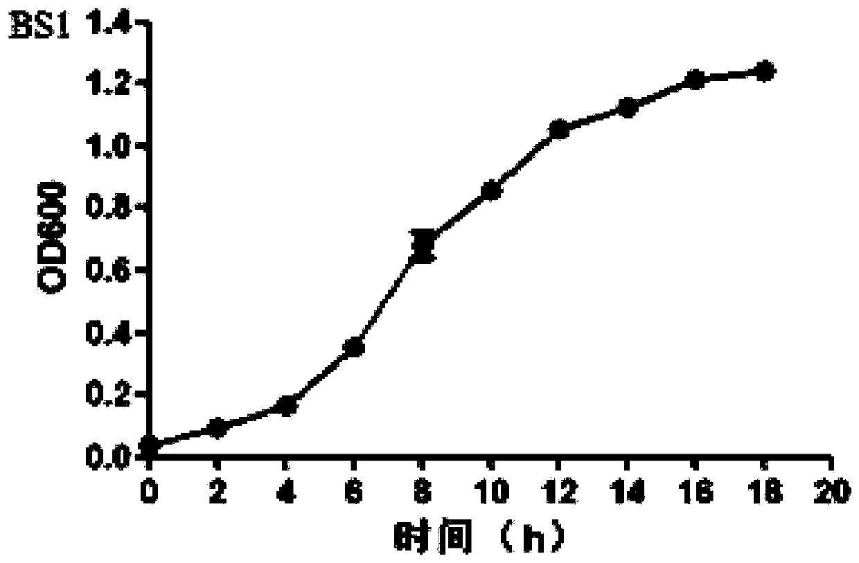 Composite micro-organism agent based on bacillus subtilis BS1 and application thereof