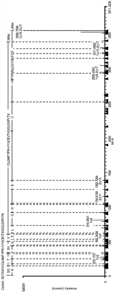 Antibody Protein Disulfide Bond Pairing Analysis Method