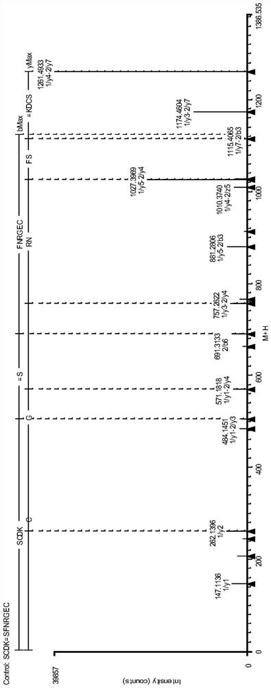 Antibody Protein Disulfide Bond Pairing Analysis Method