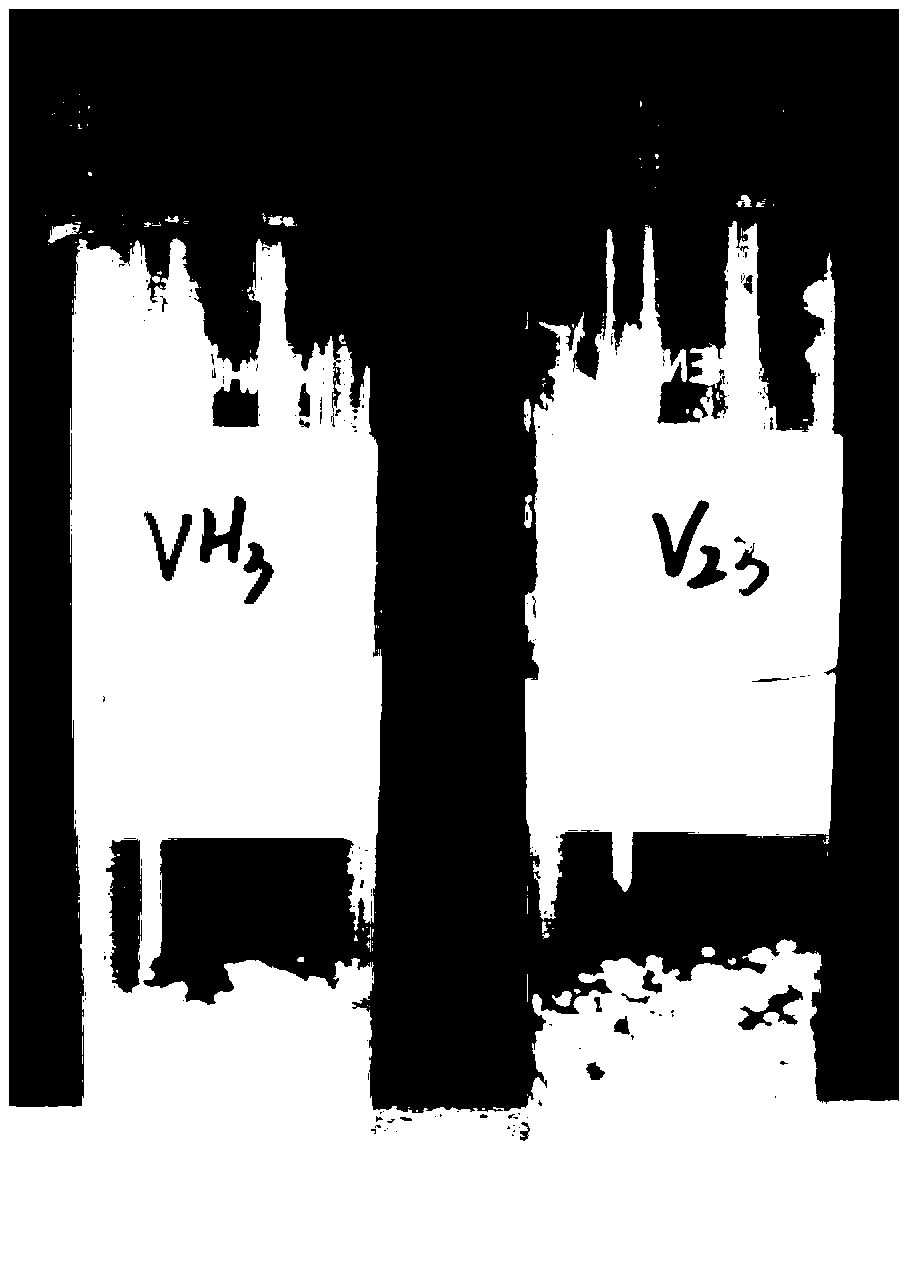 Method capable of rapidly evaluating extent of low temperature injury of straw mushroom