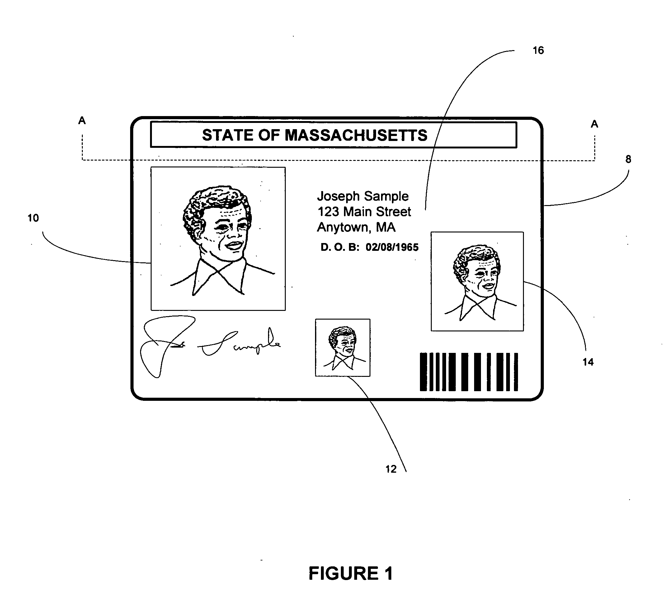 Optically variable personalized indicia for identification documents