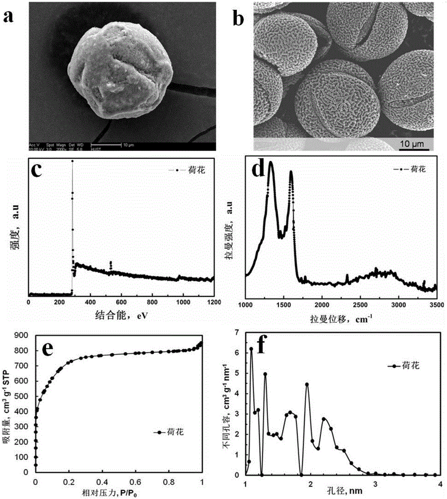 Method for preparing porous hollow activated carbon microspheres by natural sporopollen self-template method