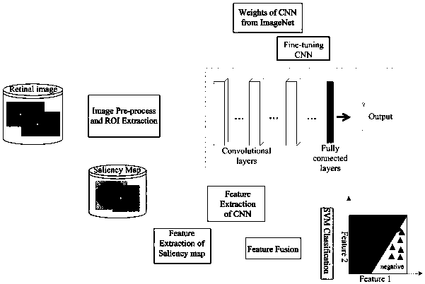 Eye fundus image quality evaluation method based on human vision system