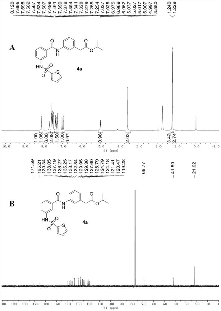 3-acylamino-N-arylbenzamide compound and application thereof
