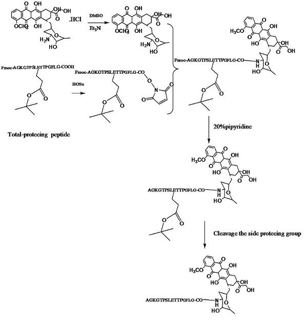 A54-GFLG-DOX conjugate as well as coupling method and application thereof