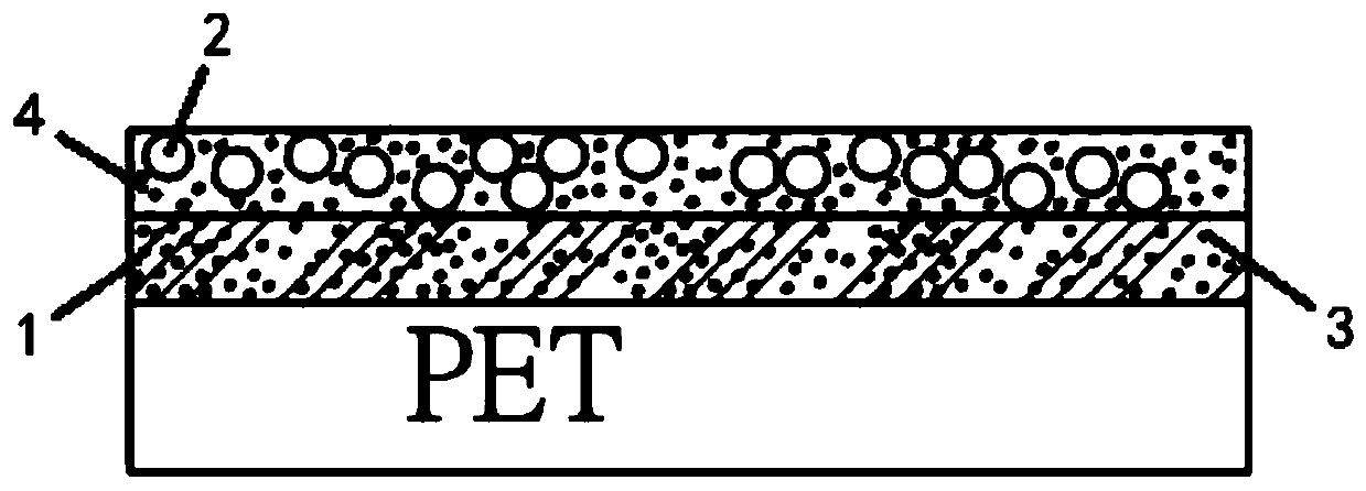 Conductive adhesive and application thereof