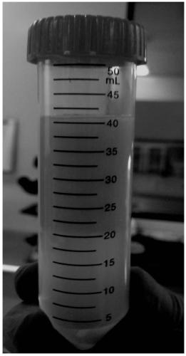 Preparation method of stem cell hair growth promoting factors capable of protecting and inducing regeneration of hair follicles