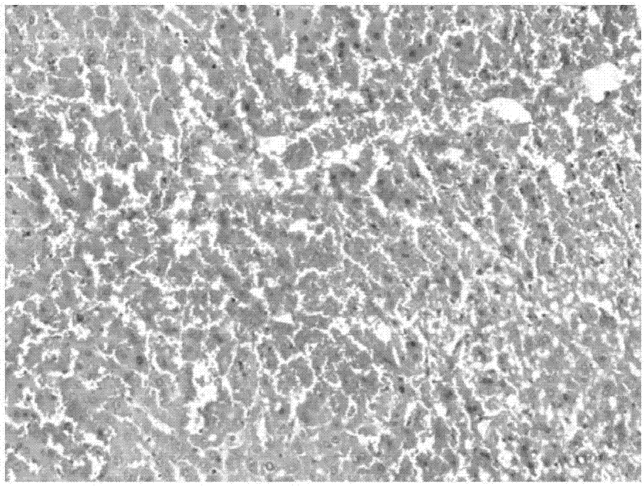 Application of nutmeg lignan to preparation of liver protection drugs