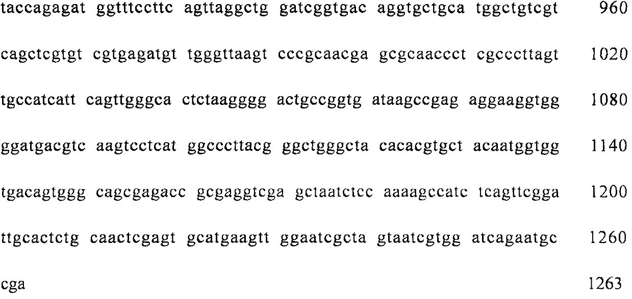 A kind of strain and method for degrading naringin