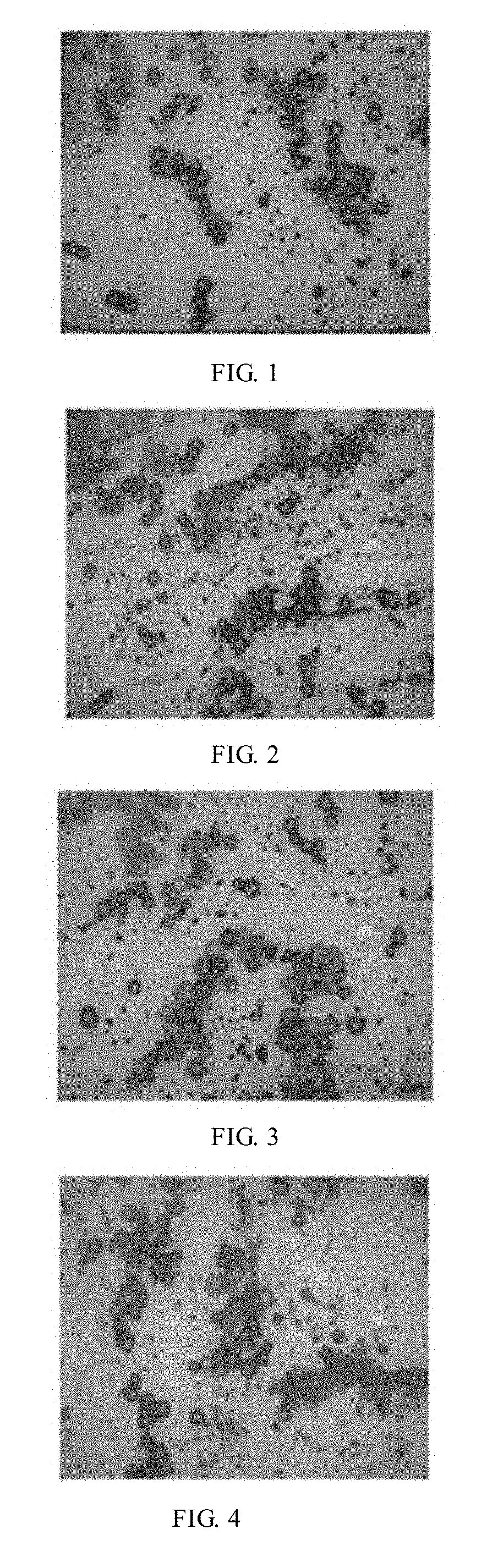 Thermally Expandable Microcapsule Complex, Method for Manufacturing Same, Rubber Composition in Which Complex is Blended, and Pneumatic Tire Using Composition