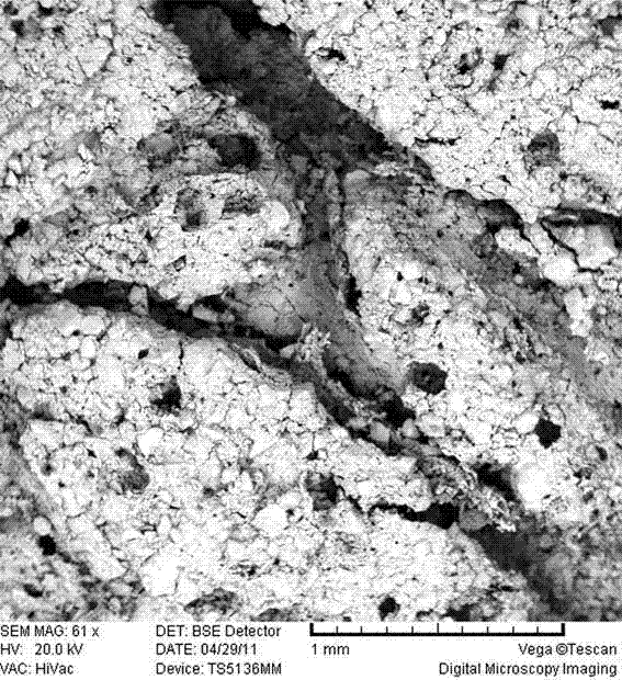 A porous scaffold with network channels and its preparation method