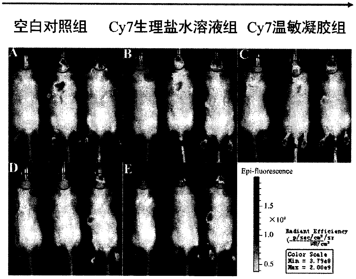 Tetrandrine nasal preparation for treating post-traumatic stress disorder