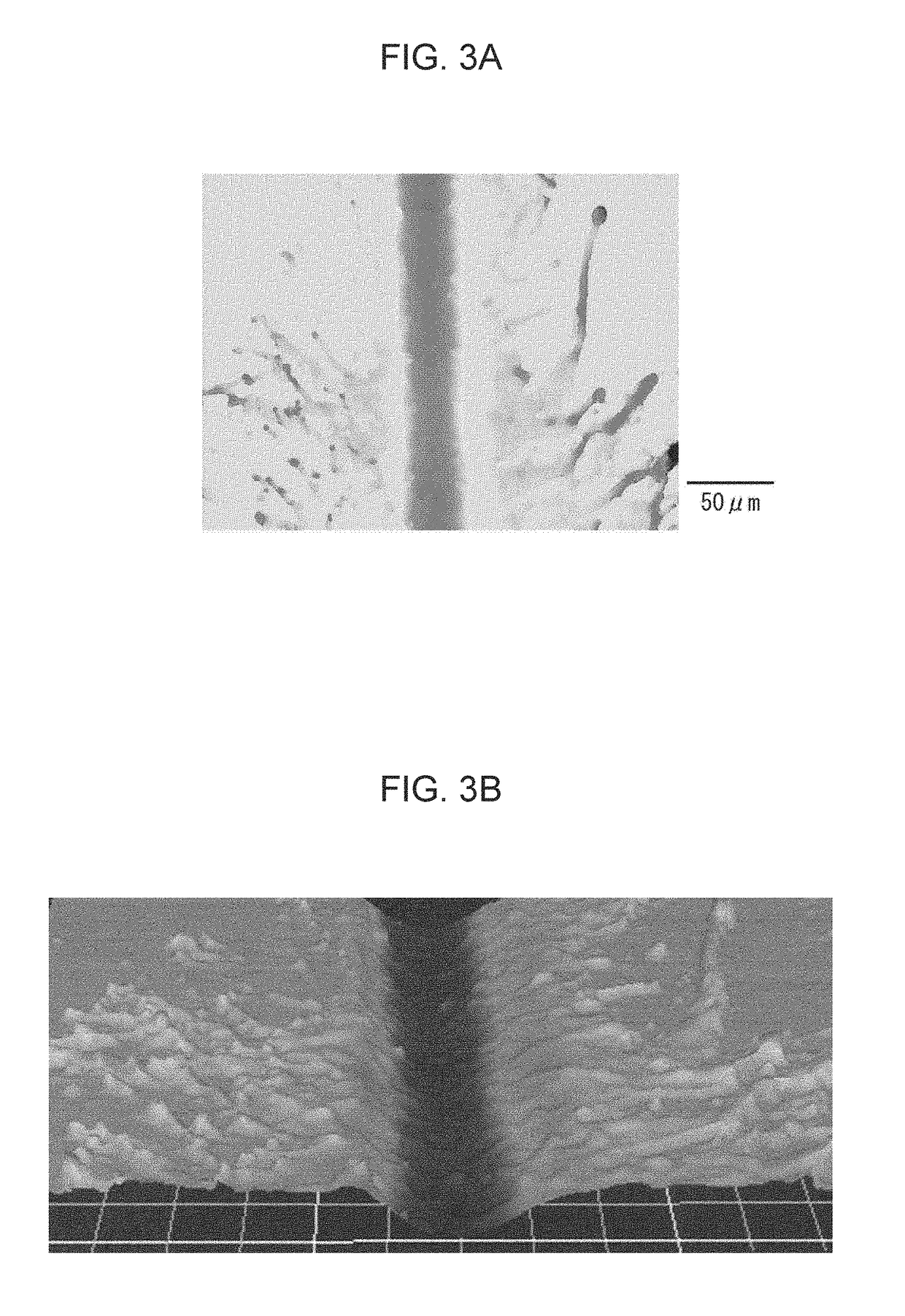 Grain-oriented electrical steel sheet