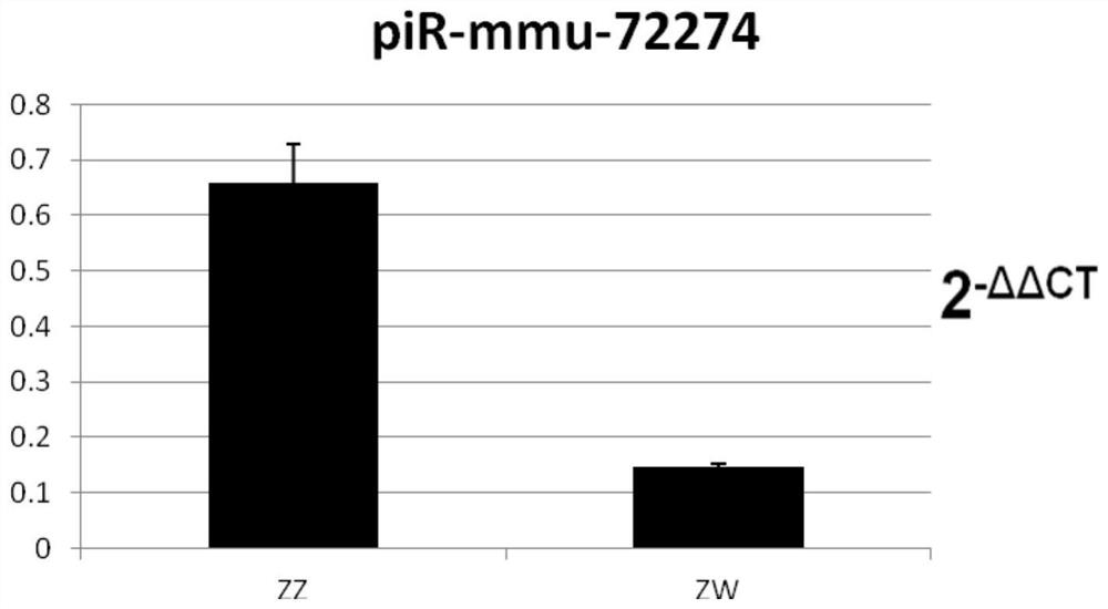 Application of the sex tag pir-mmu-72274 in half-smooth tongue sole