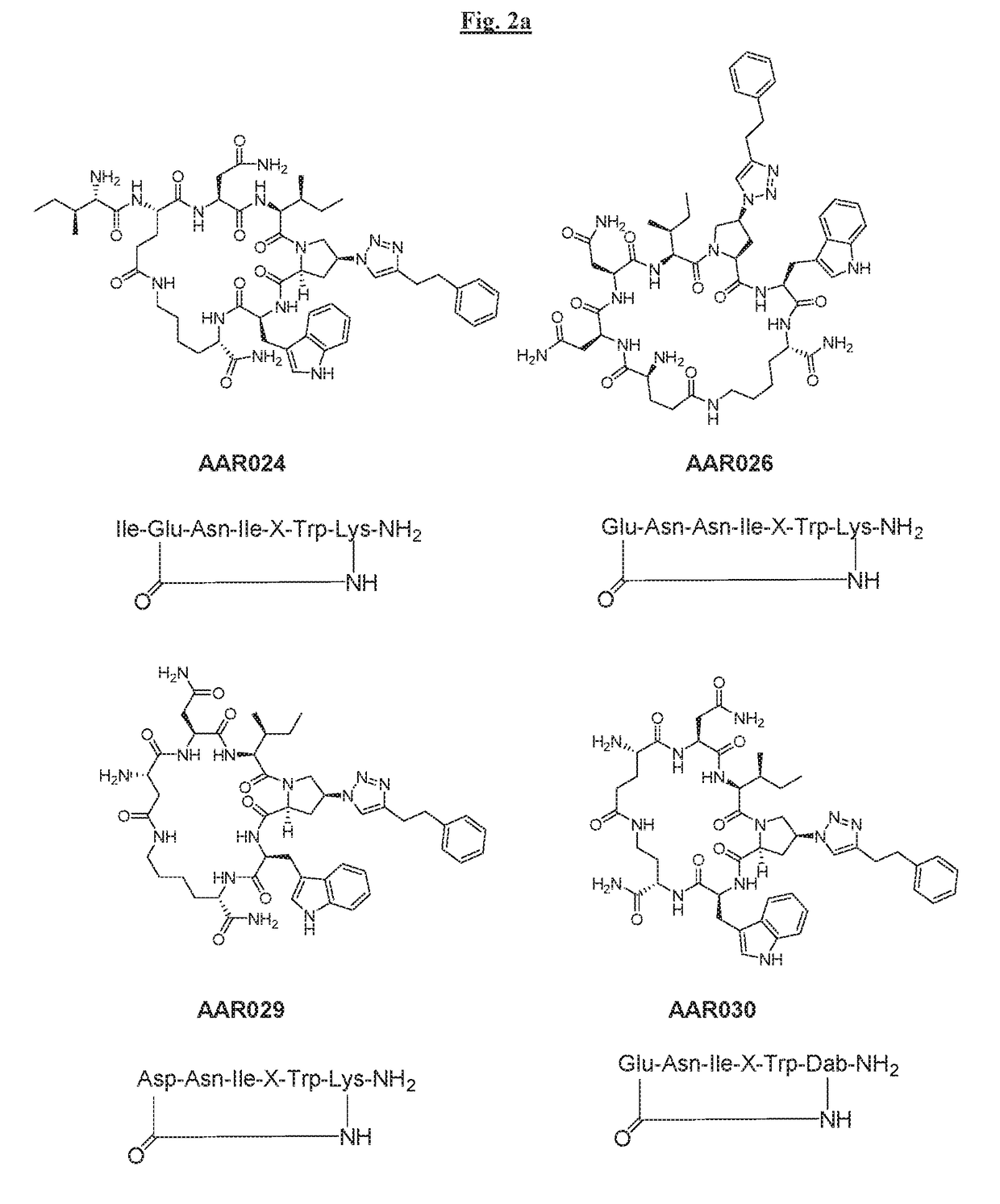 Novel Cyclic Peptides and Methods Using Same