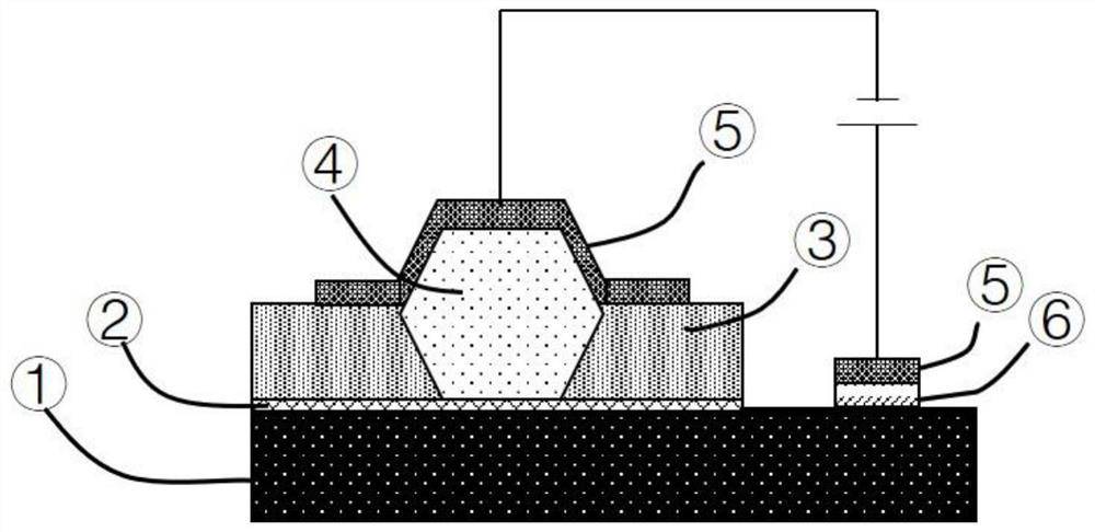 A kind of LED point light source based on graphene/zno nanowire/p-gan film and preparation method thereof