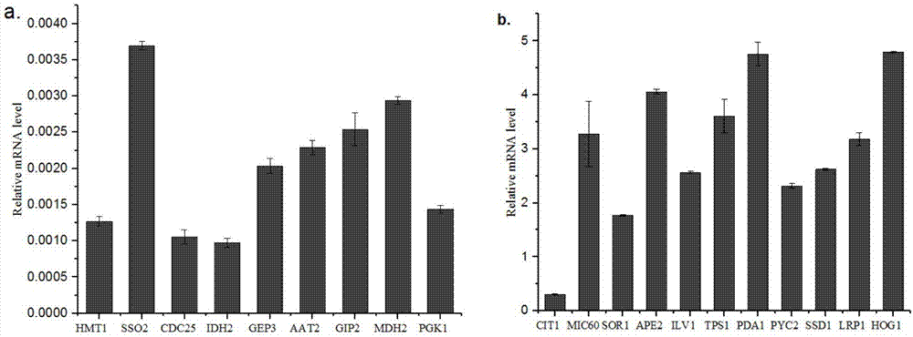 Method for regulating and controlling expression level of saccharomyces cerevisiae genes by using terminators