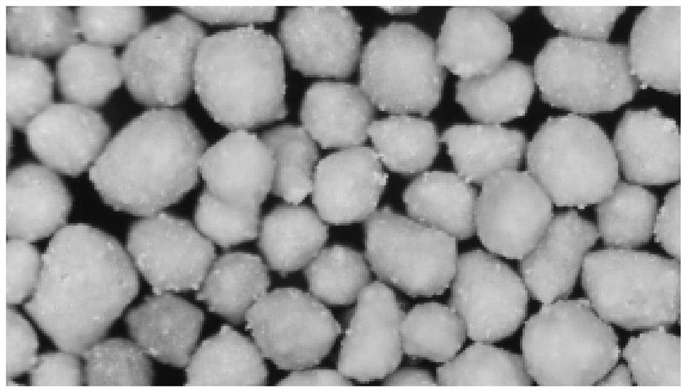 Preparation method and application of low-density ceramsite proppant added with pretreated electrolytic manganese residues