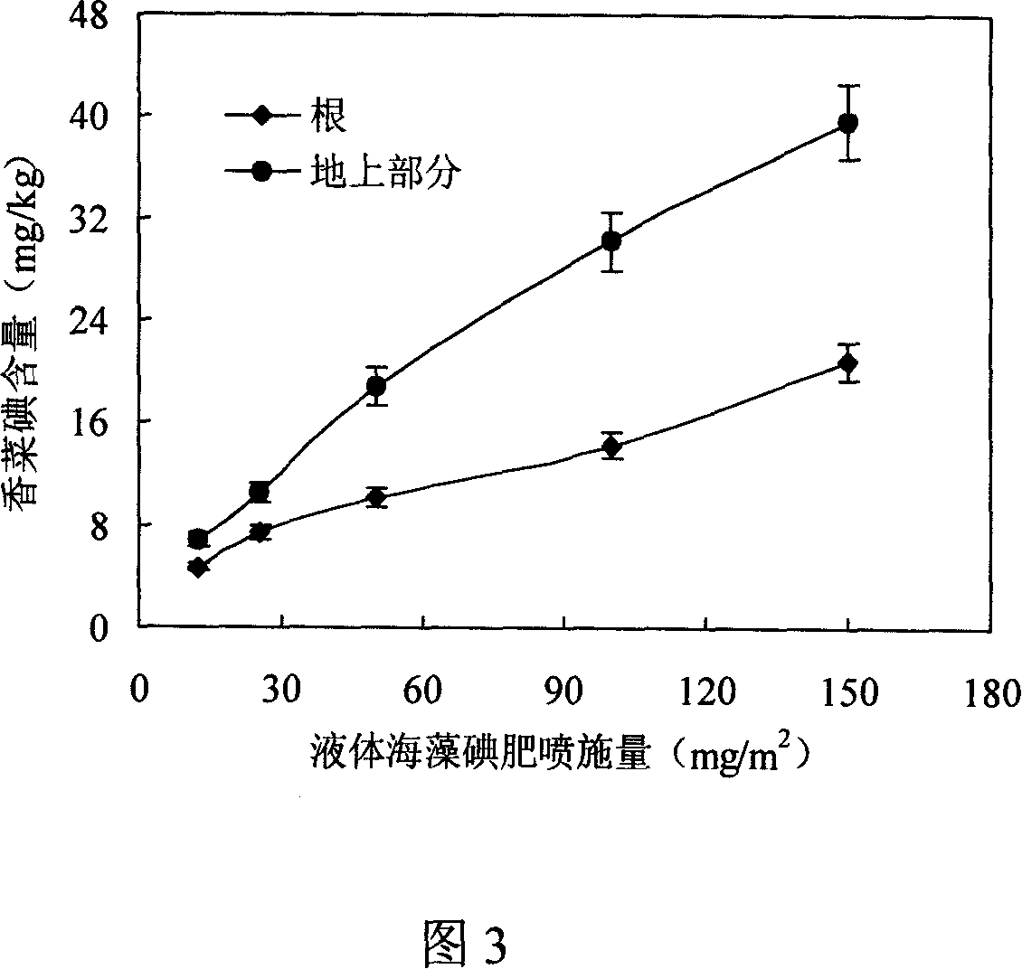 Planting method of iodine-enriched caraway