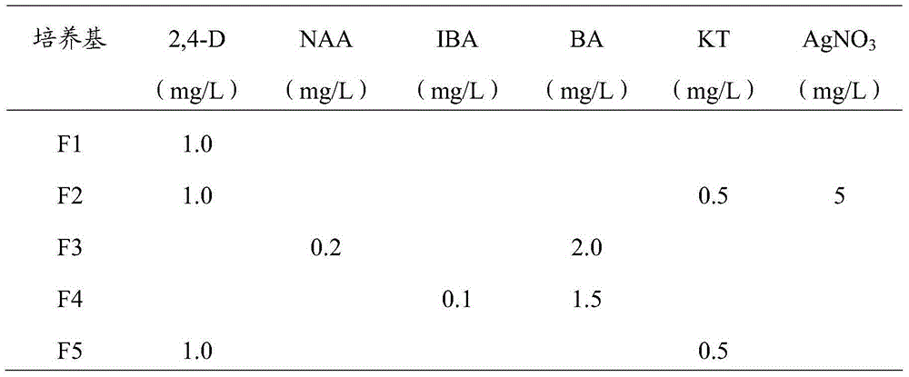 Acquiring and subculture maintaining method for high yield oligomeric proanthocyanidins vitis davidii callus