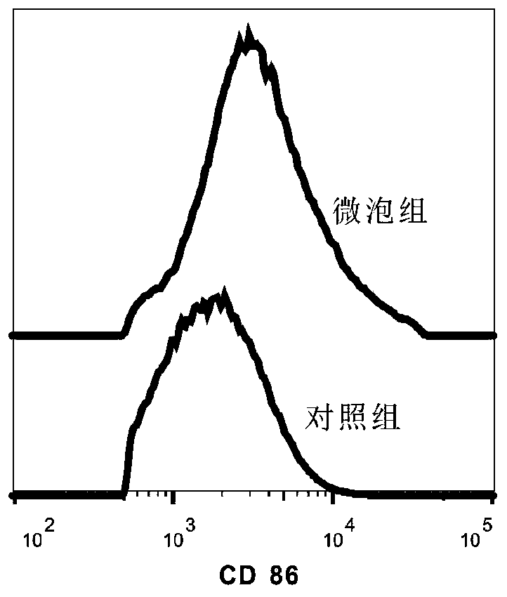 A kind of antitumor vaccine compound and preparation method, injection and application