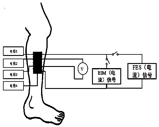 Electrical stimulation system with fatigue evaluation function