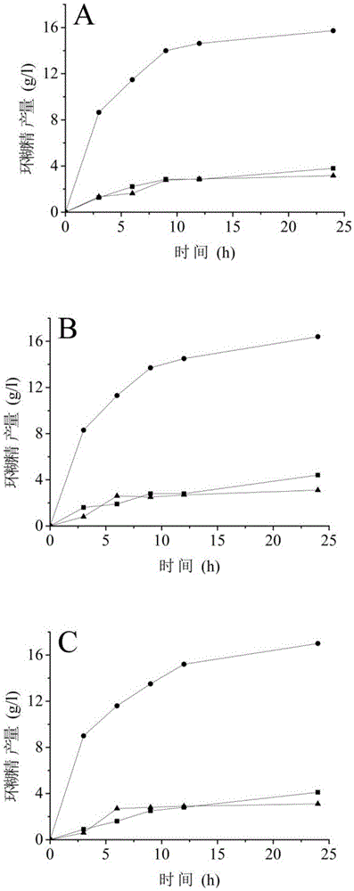 A cyclodextrin glucosyltransferase mutant with improved cyclization activity