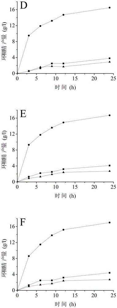 A cyclodextrin glucosyltransferase mutant with improved cyclization activity