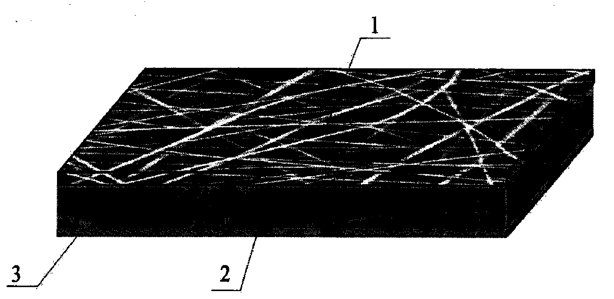 Antibacterial wound dressing and preparation method thereof