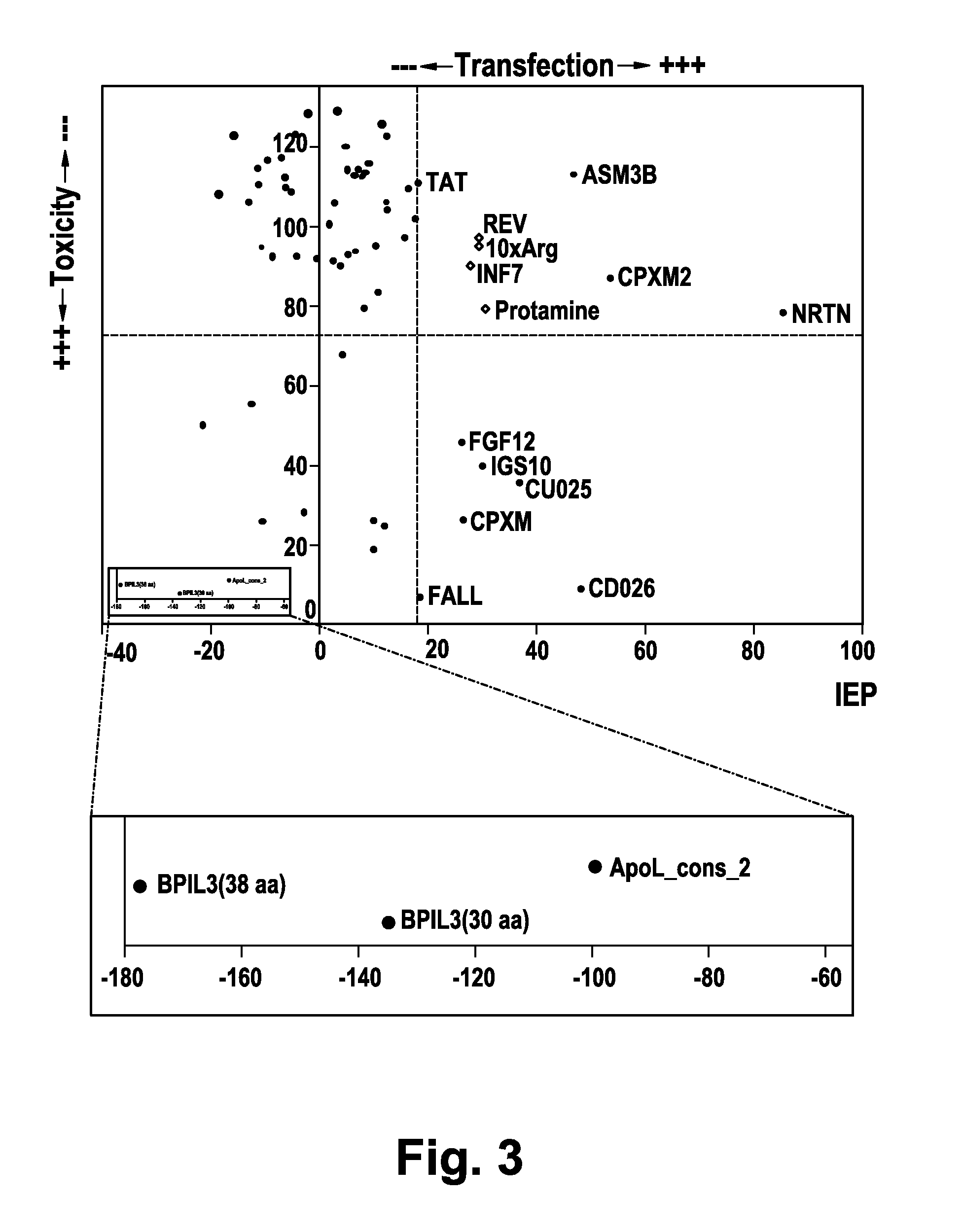 Cell-penetrating peptides and uses thereof