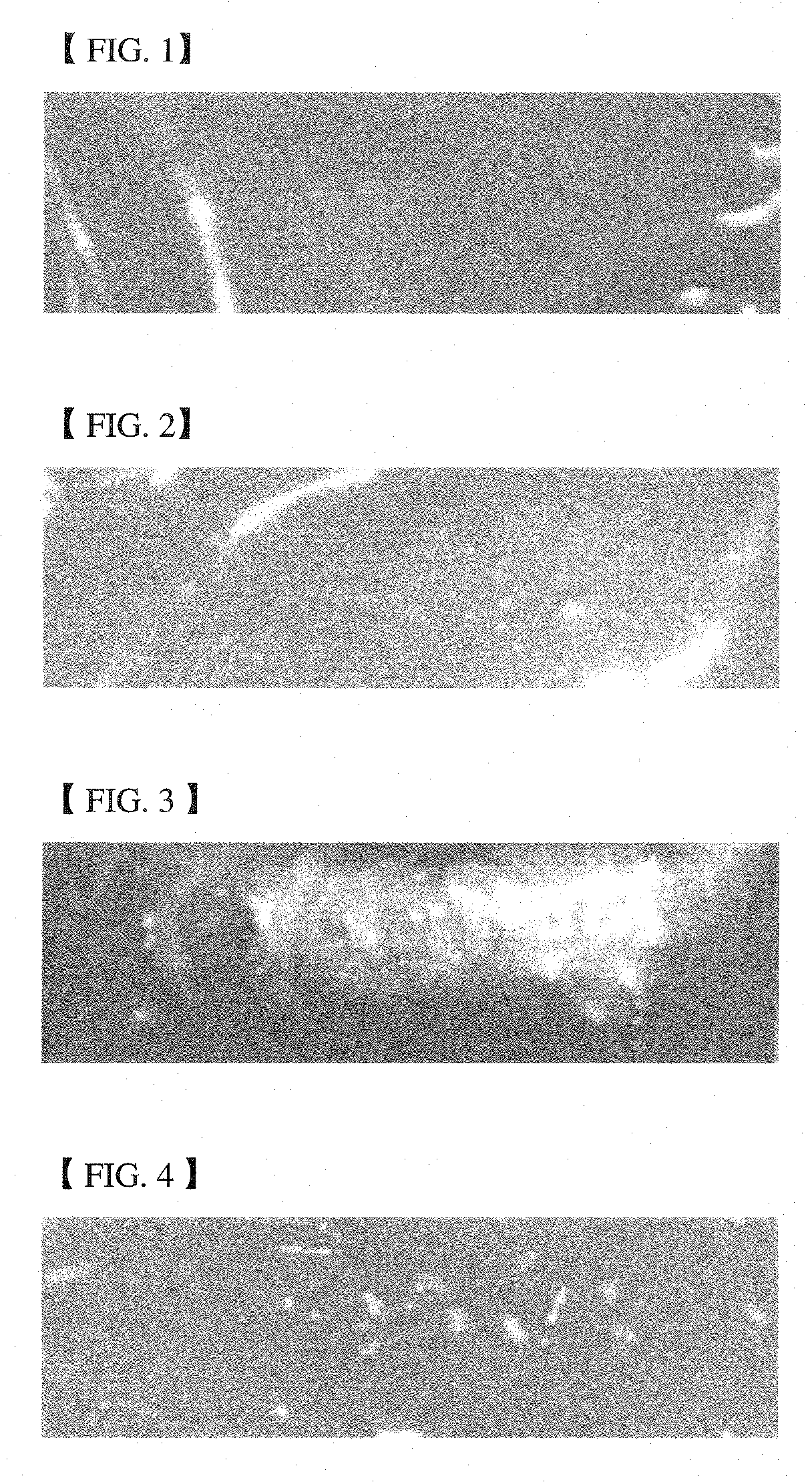 Formulation of antimicrobial film, coatings and/or sprays containing portulaca oleracea extract and film prepared therefrom