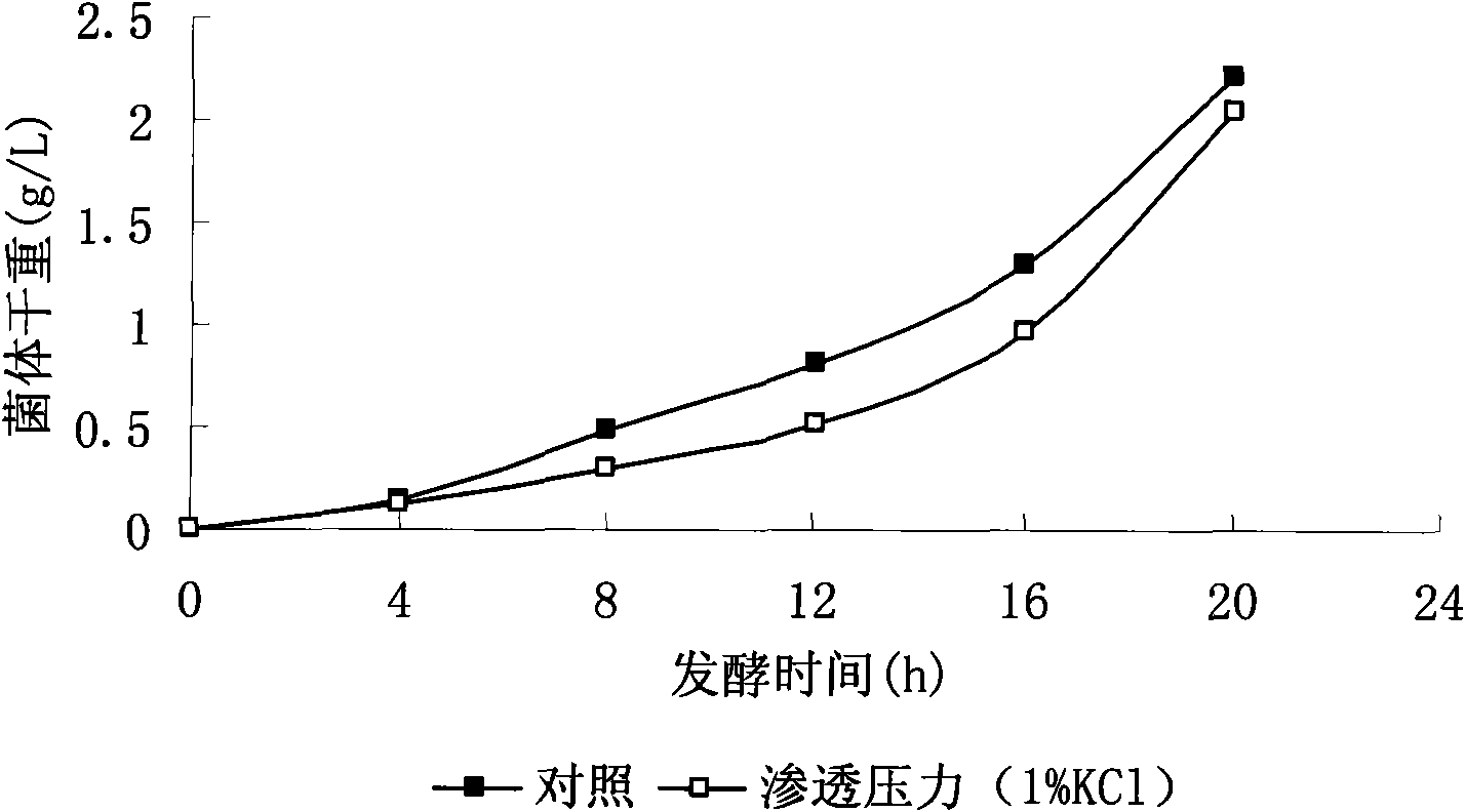 Method for enhancing yield of bacillus fermentation poly-gamma-glutamate by utilizing environmental pressure