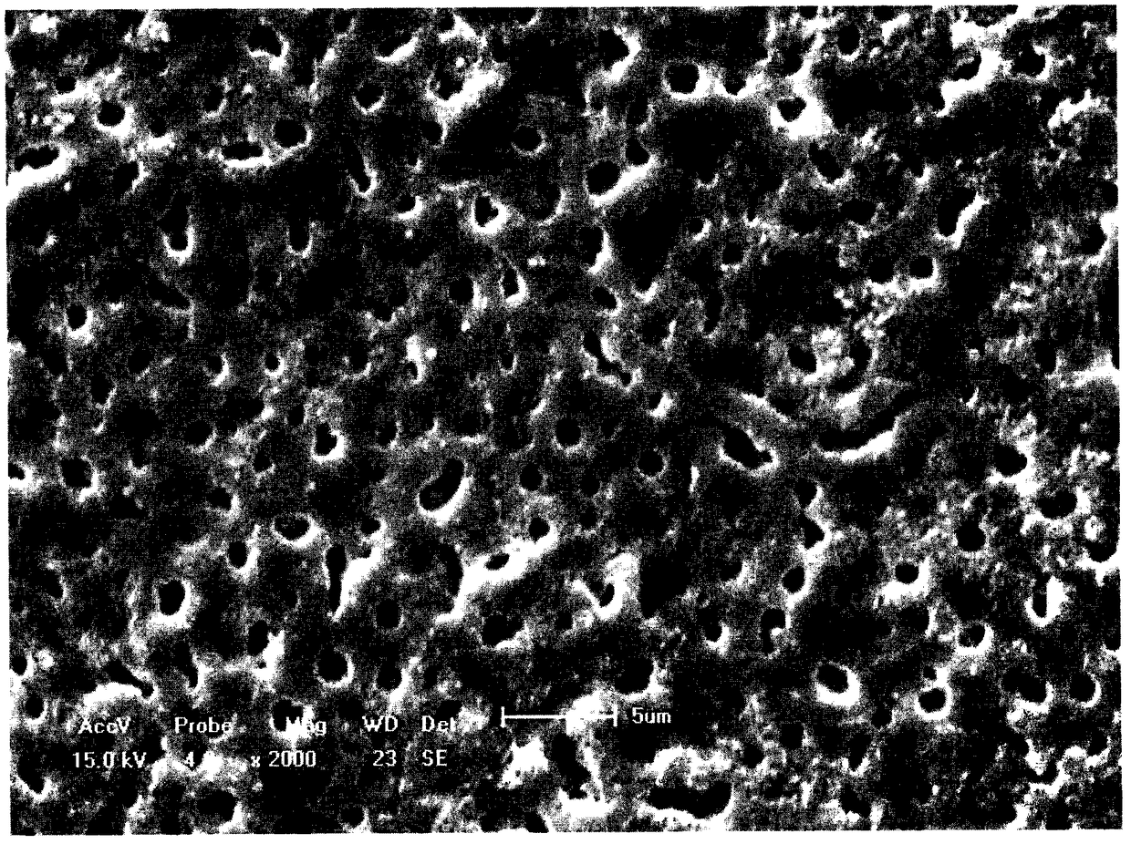 Preparation method of magnesium alloy surface coating and magnesium alloy