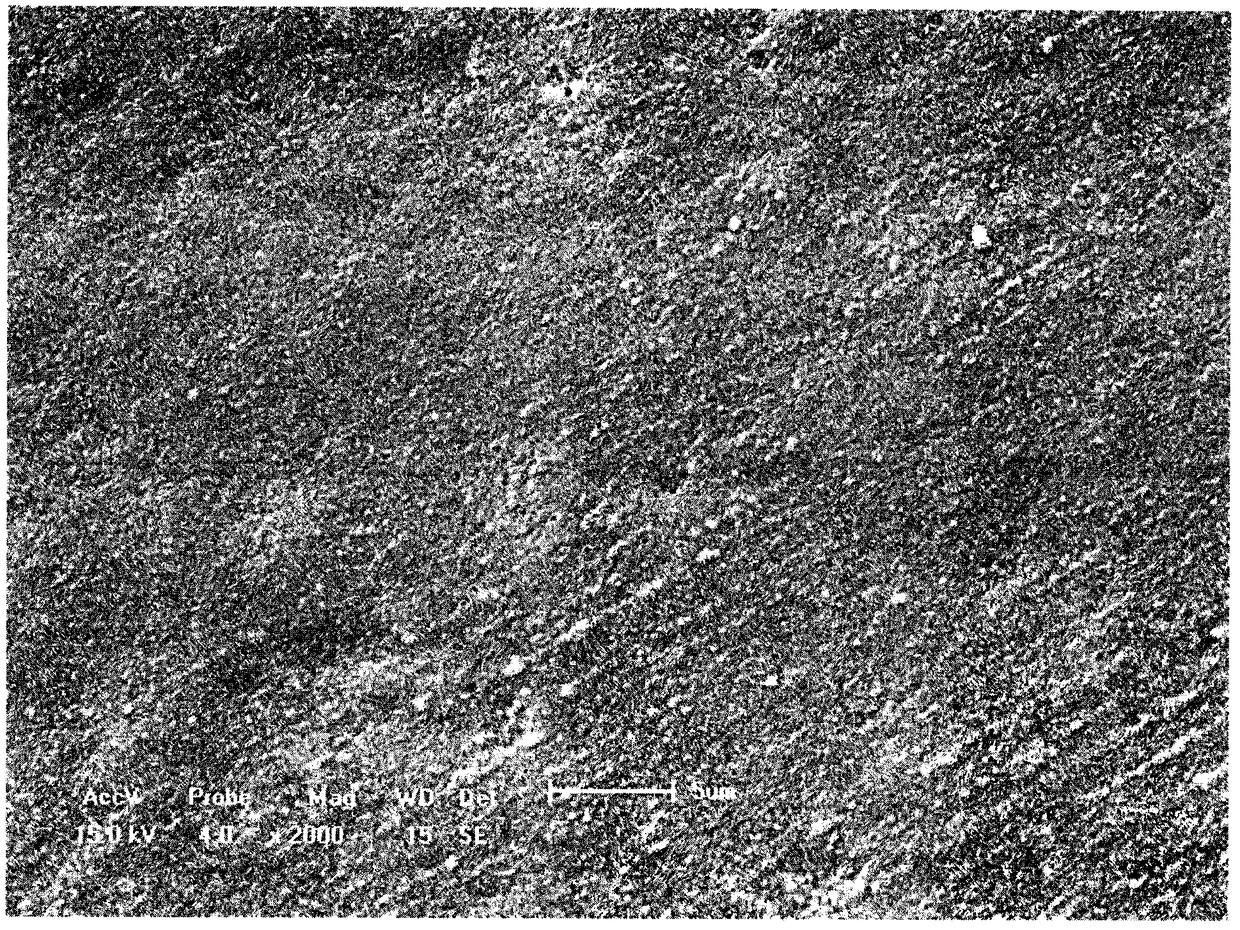 Preparation method of magnesium alloy surface coating and magnesium alloy