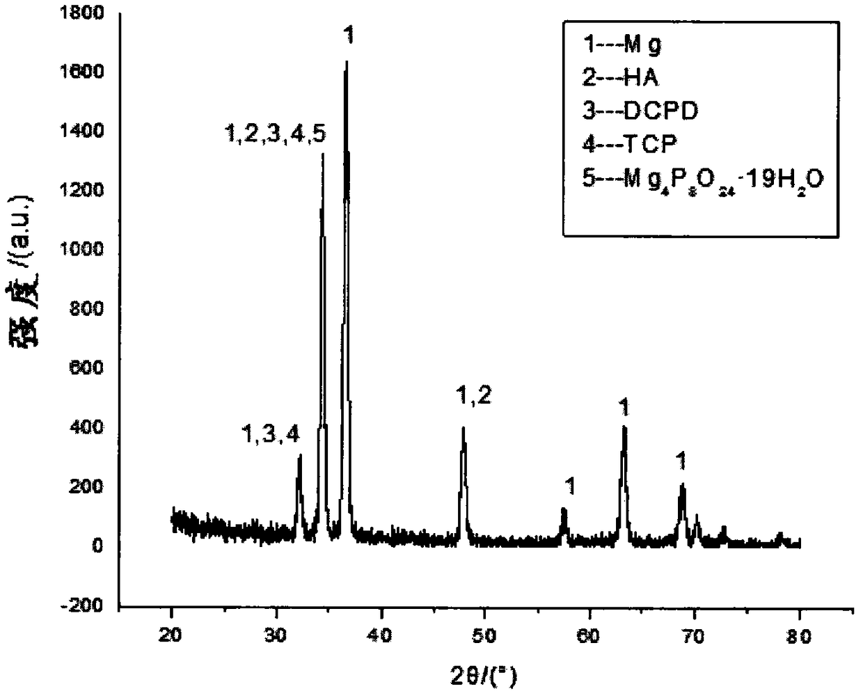 Preparation method of magnesium alloy surface coating and magnesium alloy