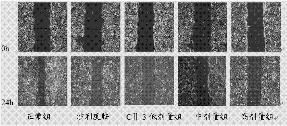 American cockroach peptide B with anti-hepatoma activity and application of American cockroach peptide B