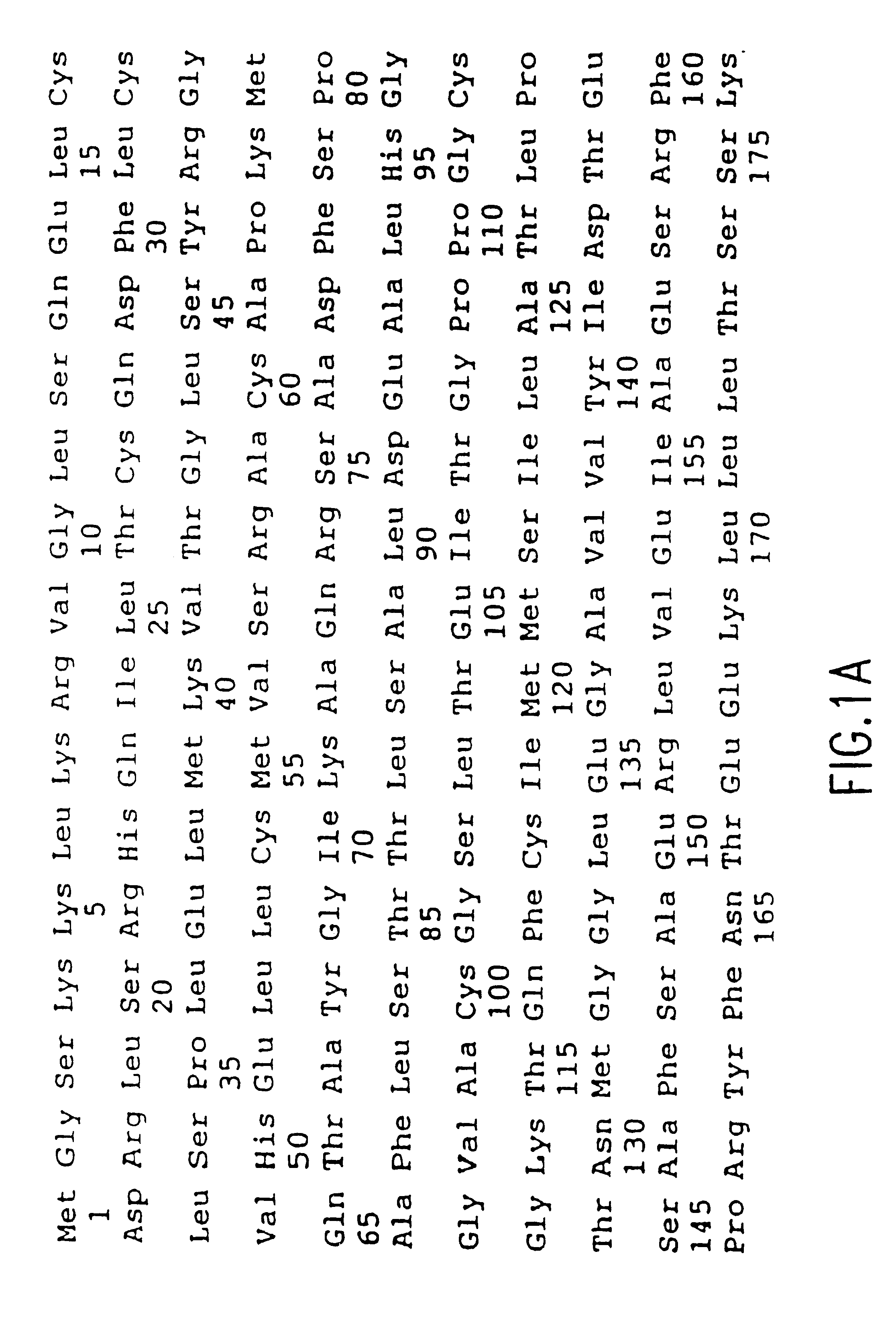 Mammalian and human REC2