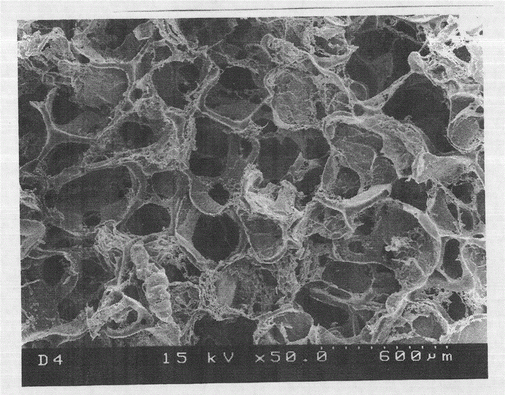 Porous biodegradable stent and preparation method thereof