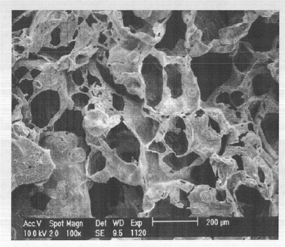 Porous biodegradable stent and preparation method thereof