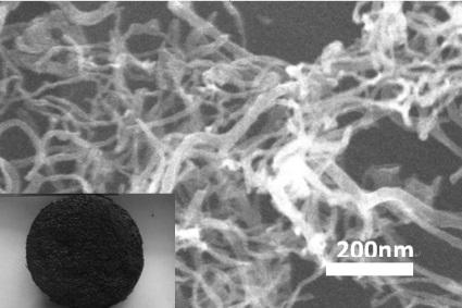 Method for preparing carbon nanofiber aerogel from plant fiber