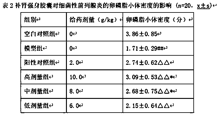Application of kidney-tonifying and body-strengthening preparation in preparation of medicine used for treating prostatitis