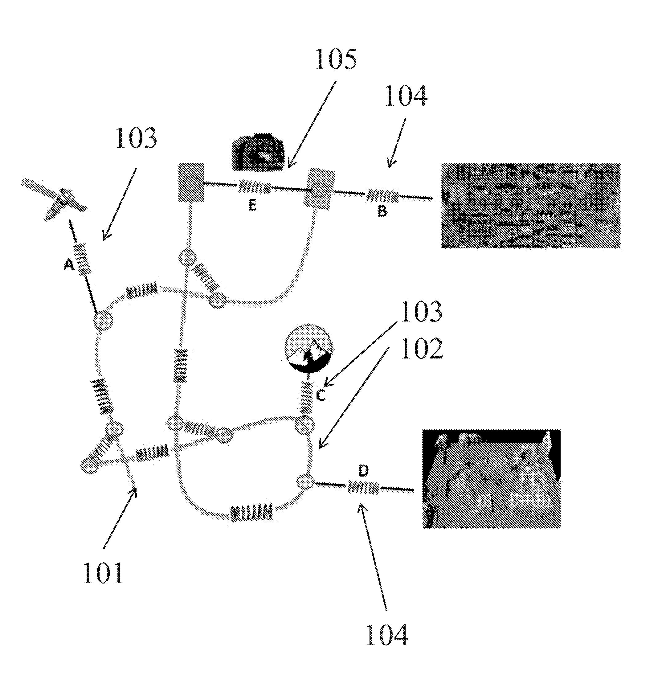 Canine Handler Operations Positioning System