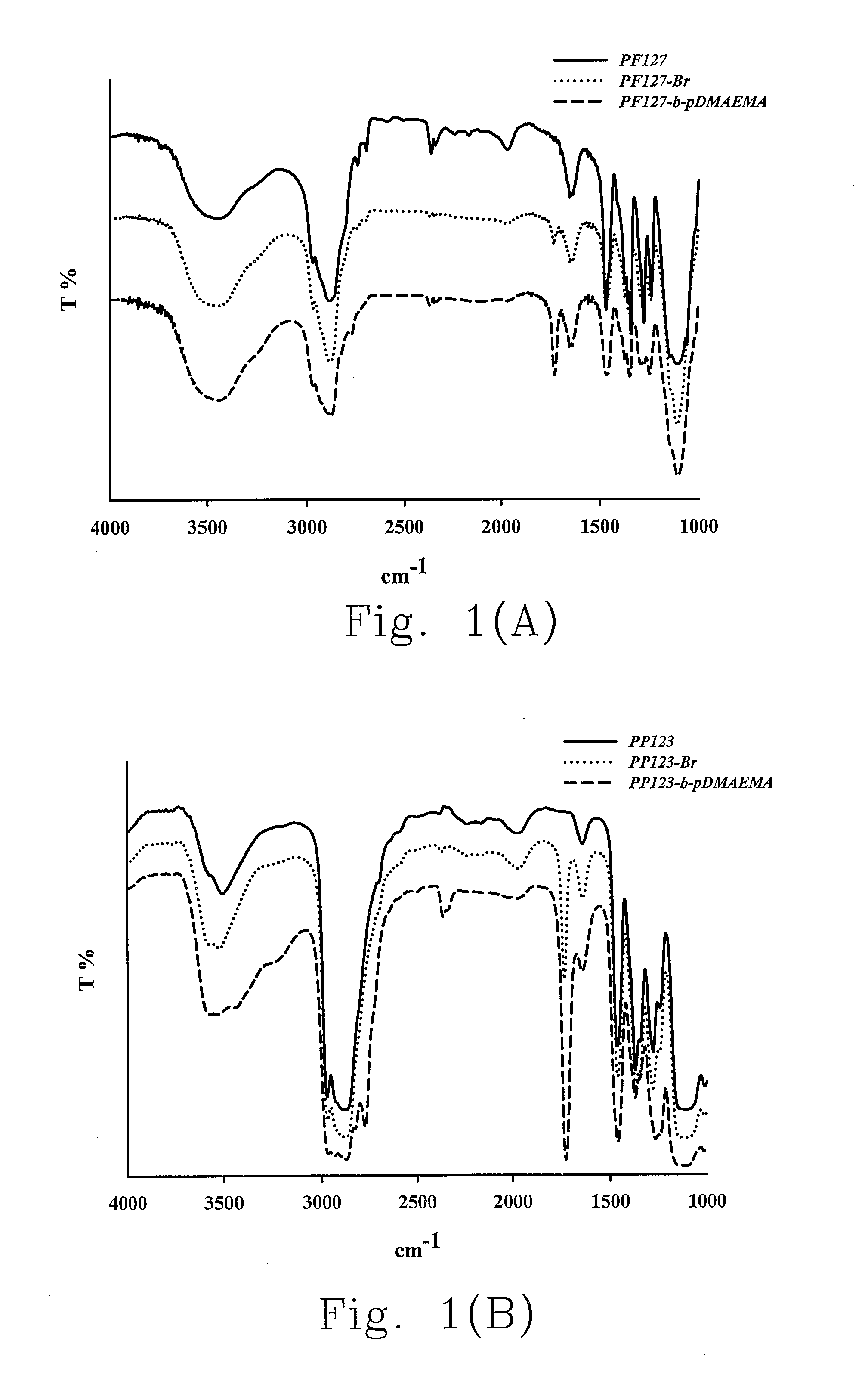 Functionalized polymer nanoparticles and the pharmaceutical use thereof