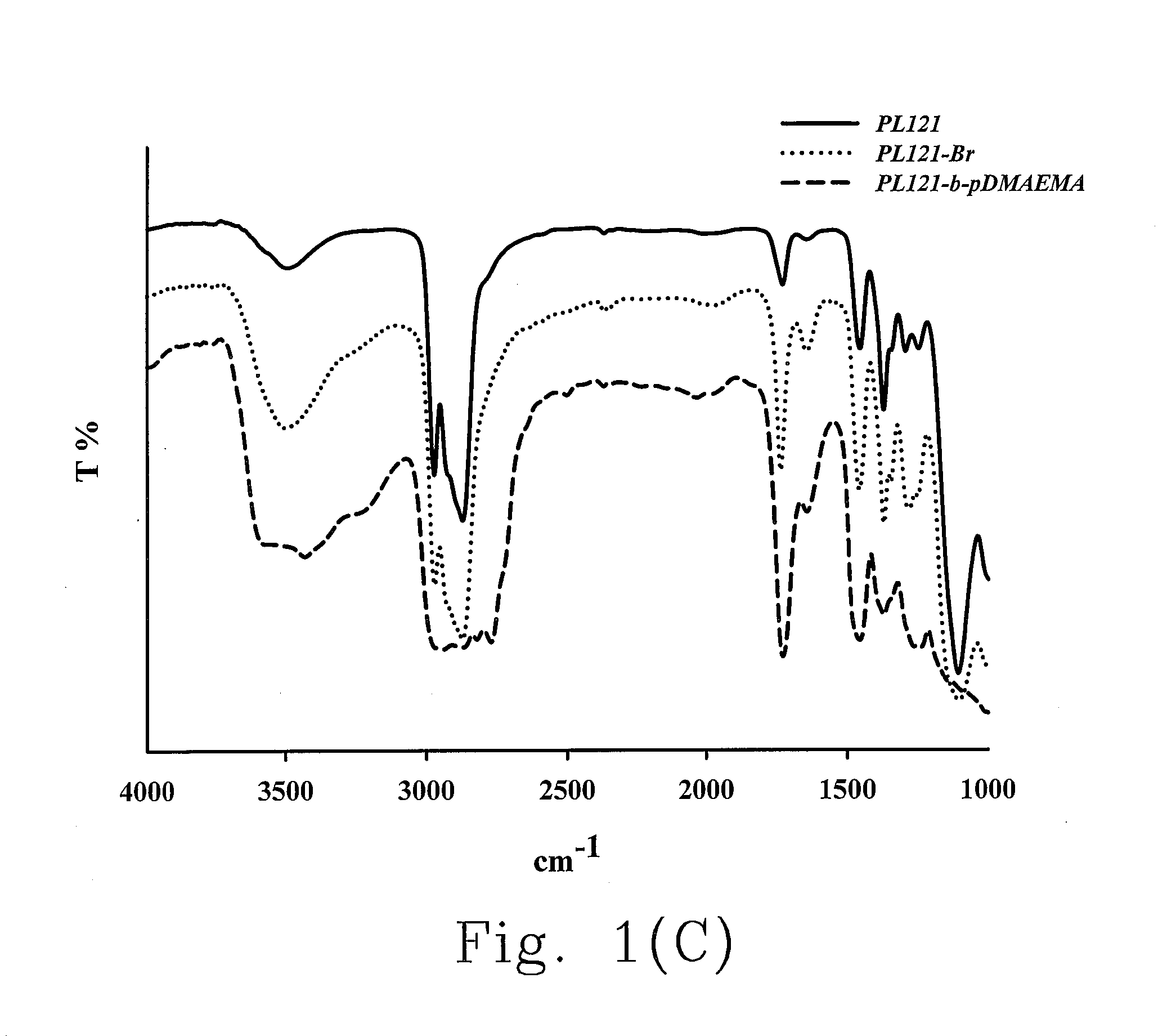 Functionalized polymer nanoparticles and the pharmaceutical use thereof