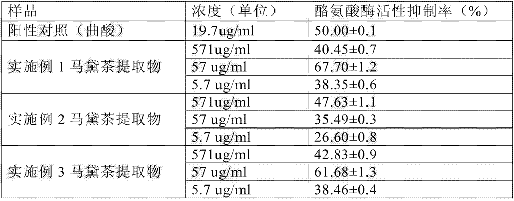 Yerba mate tea extractive and application thereof to skin externally-applied agent