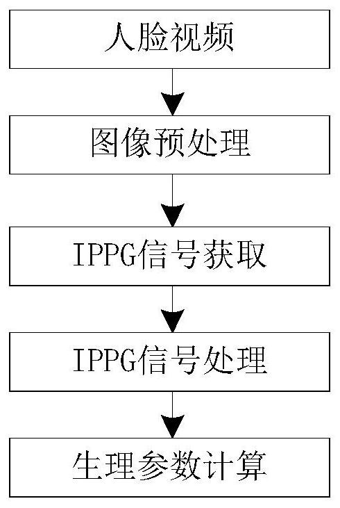 IPPG-based human body vital sign perception system