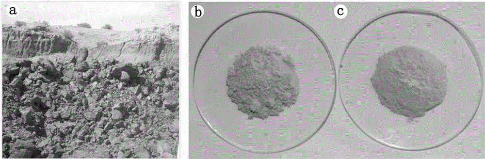 Method for preparing micro-nano hybrid mesoporous adsorbing microspheres by utilizing red attapulgite clay
