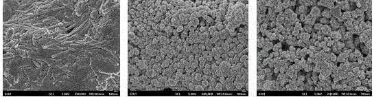 Method for preparing micro-nano hybrid mesoporous adsorbing microspheres by utilizing red attapulgite clay