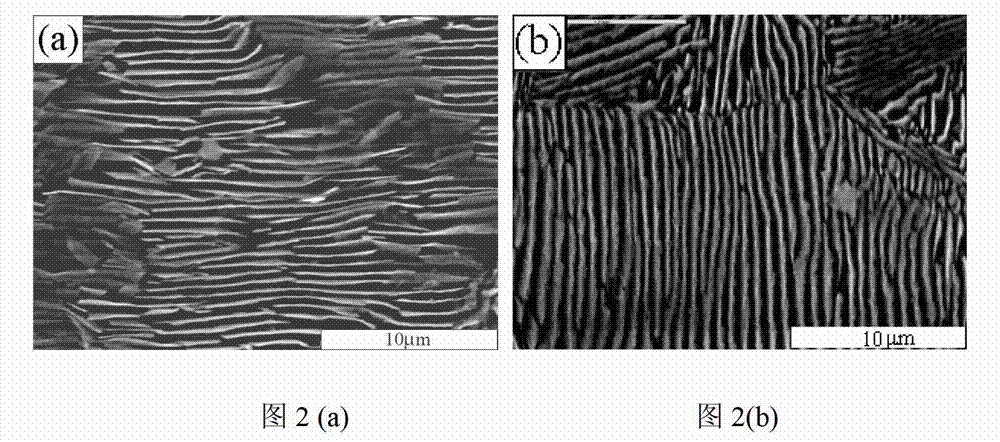 High-strength gray cast iron modifier and modification treatment process thereof